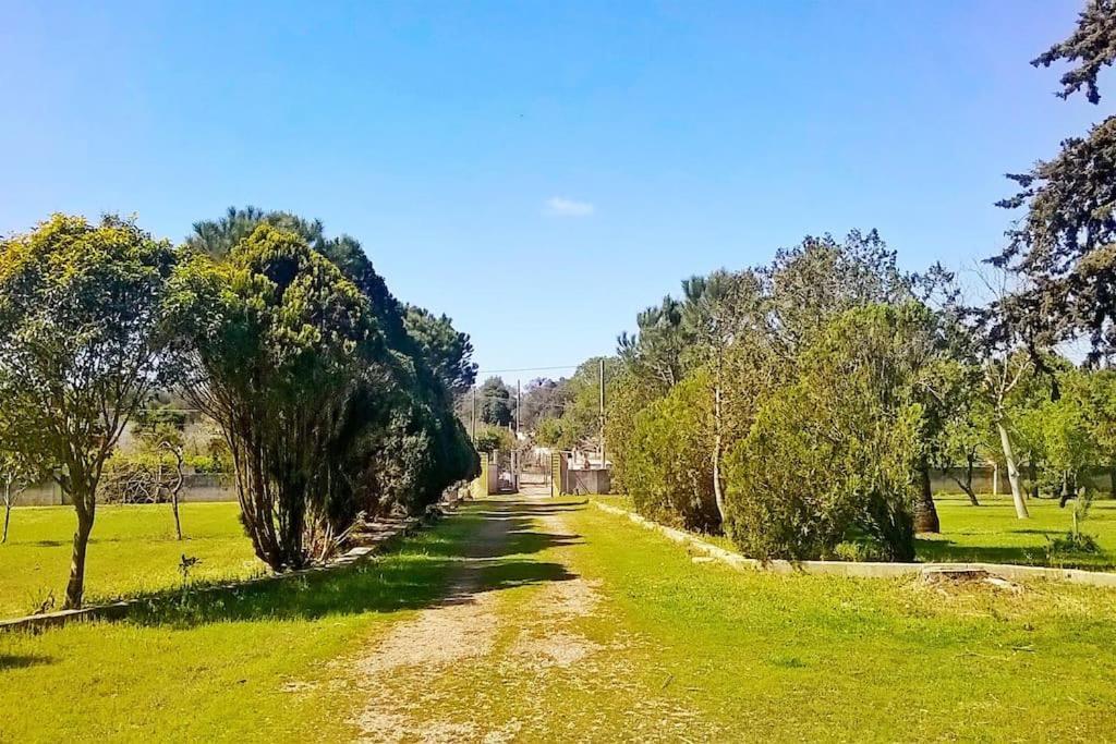 Villa Chorion Corigliano dʼOtranto Extérieur photo