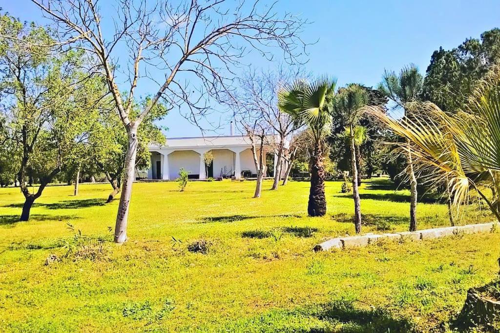 Villa Chorion Corigliano dʼOtranto Extérieur photo